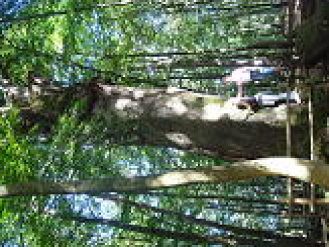 13b